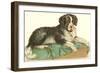 American Water Spaniel-null-Framed Art Print