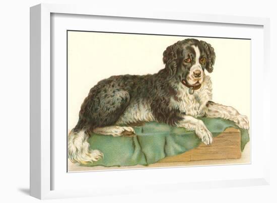 American Water Spaniel-null-Framed Art Print