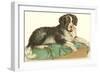 American Water Spaniel-null-Framed Art Print