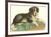 American Water Spaniel-null-Framed Art Print