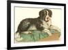 American Water Spaniel-null-Framed Art Print