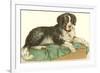 American Water Spaniel-null-Framed Premium Giclee Print