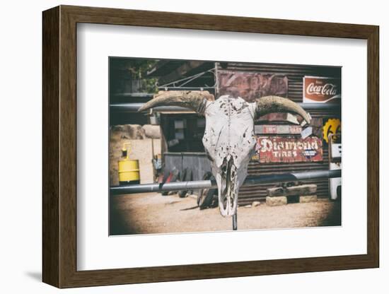American West - Cow Skulls 66-Philippe Hugonnard-Framed Photographic Print