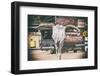 American West - Cow Skulls 66-Philippe Hugonnard-Framed Photographic Print