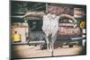 American West - Cow Skulls 66-Philippe Hugonnard-Mounted Photographic Print