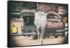 American West - Cow Skulls 66-Philippe Hugonnard-Framed Stretched Canvas