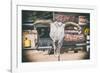 American West - Cow Skulls 66-Philippe Hugonnard-Framed Photographic Print