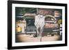 American West - Cow Skulls 66-Philippe Hugonnard-Framed Photographic Print