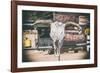 American West - Cow Skulls 66-Philippe Hugonnard-Framed Photographic Print