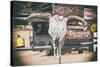 American West - Cow Skulls 66-Philippe Hugonnard-Stretched Canvas