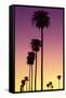 American West - Sunset Palm Trees-Philippe Hugonnard-Framed Stretched Canvas