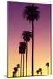 American West - Sunset Palm Trees-Philippe Hugonnard-Mounted Photographic Print