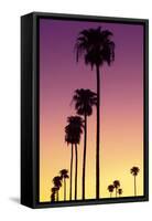 American West - Sunset Palm Trees-Philippe Hugonnard-Framed Stretched Canvas