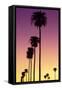 American West - Sunset Palm Trees-Philippe Hugonnard-Framed Stretched Canvas