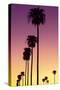 American West - Sunset Palm Trees-Philippe Hugonnard-Stretched Canvas