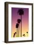 American West - Sunset Palm Trees-Philippe Hugonnard-Framed Photographic Print