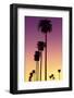 American West - Sunset Palm Trees-Philippe Hugonnard-Framed Photographic Print