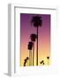 American West - Sunset Palm Trees-Philippe Hugonnard-Framed Photographic Print