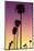 American West - Sunset Palm Trees-Philippe Hugonnard-Mounted Photographic Print