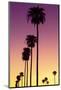 American West - Sunset Palm Trees-Philippe Hugonnard-Mounted Photographic Print