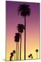 American West - Sunset Palm Trees-Philippe Hugonnard-Mounted Photographic Print