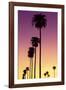 American West - Sunset Palm Trees-Philippe Hugonnard-Framed Photographic Print