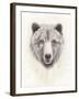 American Wilderness I-Grace Popp-Framed Art Print