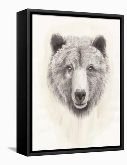 American Wilderness I-Grace Popp-Framed Stretched Canvas