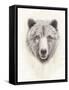 American Wilderness I-Grace Popp-Framed Stretched Canvas