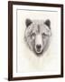 American Wilderness I-Grace Popp-Framed Art Print