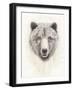 American Wilderness I-Grace Popp-Framed Art Print