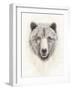 American Wilderness I-Grace Popp-Framed Art Print