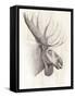 American Wilderness IV-Grace Popp-Framed Stretched Canvas