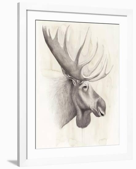 American Wilderness IV-Grace Popp-Framed Art Print