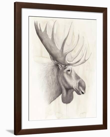 American Wilderness IV-Grace Popp-Framed Art Print