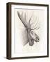 American Wilderness IV-Grace Popp-Framed Art Print