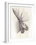 American Wilderness IV-Grace Popp-Framed Art Print