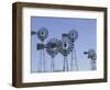 American Wind Power Center, Lubbock, Texas-Walter Bibikow-Framed Photographic Print