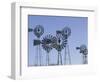 American Wind Power Center, Lubbock, Texas-Walter Bibikow-Framed Photographic Print