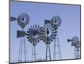 American Wind Power Center, Lubbock, Texas-Walter Bibikow-Mounted Photographic Print