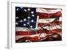 American Wrap-Roderick E. Stevens-Framed Giclee Print