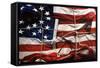 American Wrap-Roderick E. Stevens-Framed Stretched Canvas