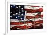 American Wrap-Roderick E. Stevens-Framed Giclee Print