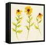 Americana Meadow Element I-Shirley Novak-Framed Stretched Canvas