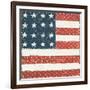 Americana Quilt IV-David Carter Brown-Framed Art Print