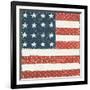 Americana Quilt IV-David Carter Brown-Framed Art Print