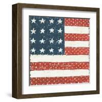 Americana Quilt IV-David Carter Brown-Framed Art Print