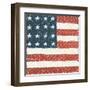 Americana Quilt IV-David Carter Brown-Framed Art Print