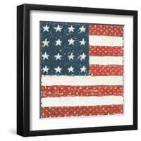 Americana Quilt IV-David Carter Brown-Framed Art Print