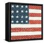 Americana Quilt IV-David Carter Brown-Framed Stretched Canvas